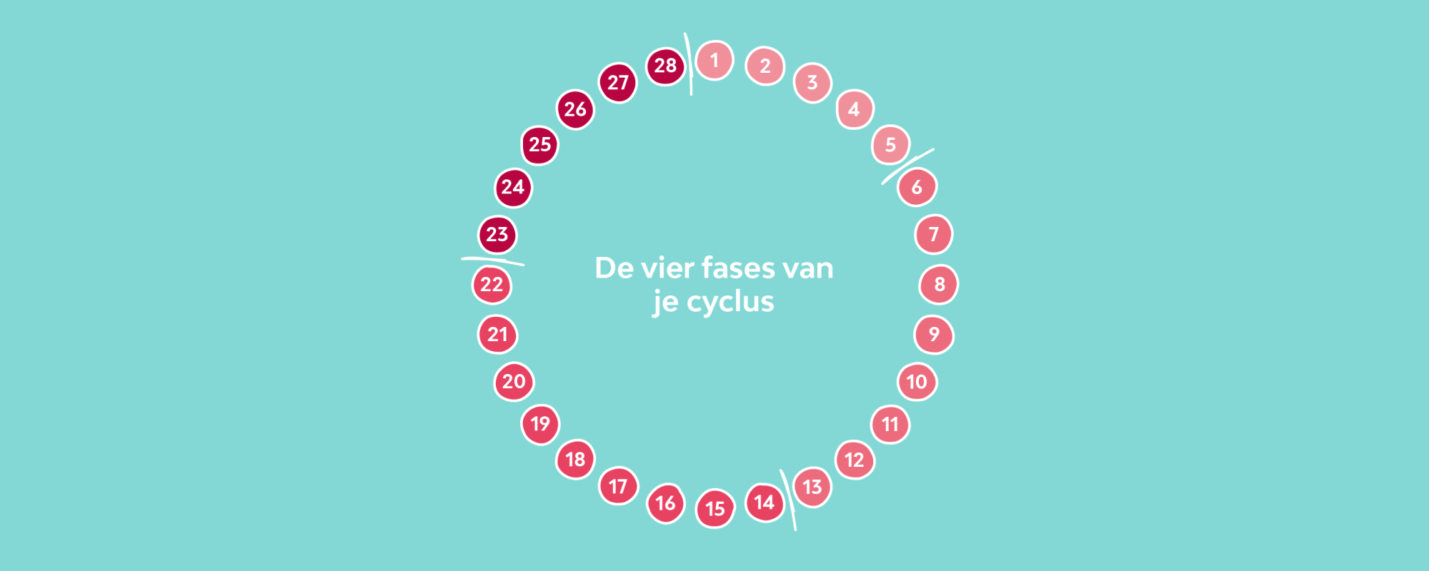 wat is een menstruatiecyclus